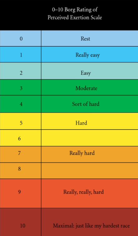 0-10 Borg Rating of Perceived Exertion scale